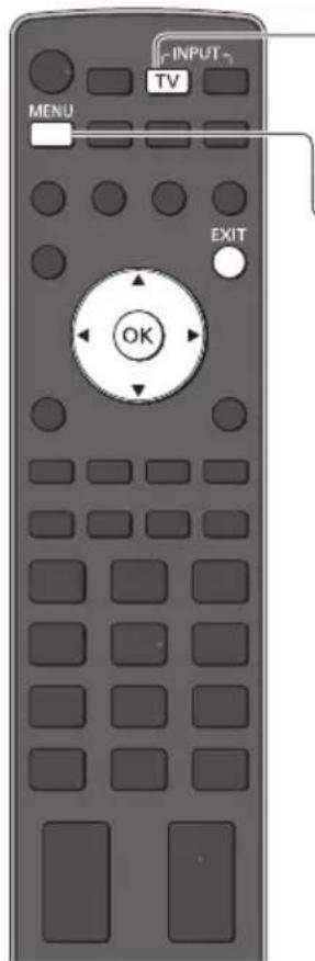 PANASONIC Viera TX-P42VT30Y - DVB-T-Programme oder analoge Programme - 1