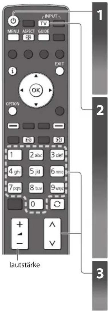 PANASONIC Viera TX-P42VT30Y - BetrachtenvonFernsehprogrammen - 1