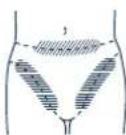 PANASONIC ES-2265 - Für Bikini-Zone - 2