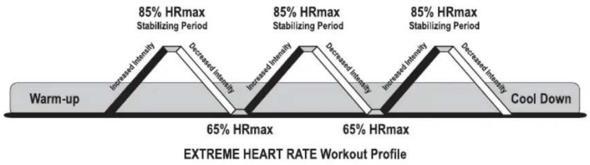 Life Fitness 955i Stairclimber - HEART RATE INTERVAL ^TM - 3