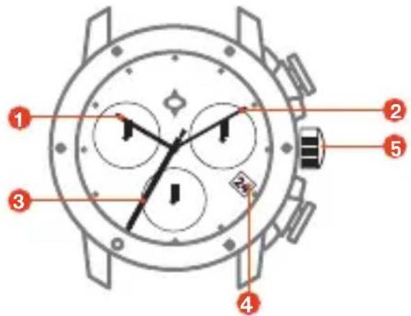 LIV P-51 - PARTS OF YOUR NEW WATCH - 1