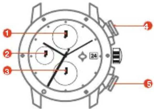 LIV P-51 - PARTS OF YOUR NEW WATCH - 2