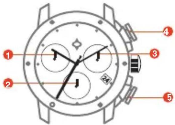 LIV P-51 - PARTS OF YOUR NEW WATCH - 2