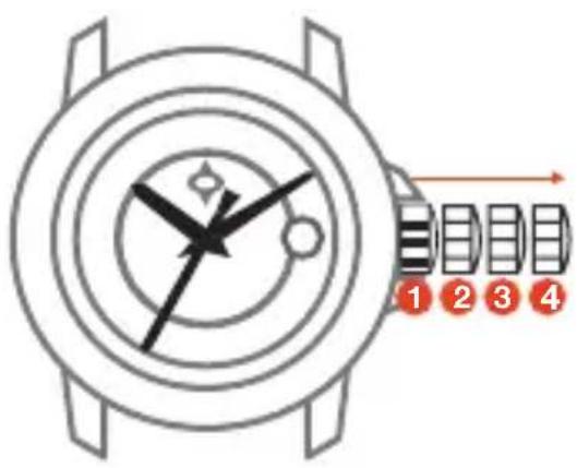 LIV P-51 - SETTING YOUR WATCH - 1