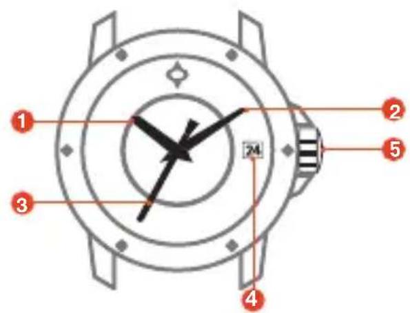 LIV P-51 - PARTS OF YOUR NEW WATCH - 1