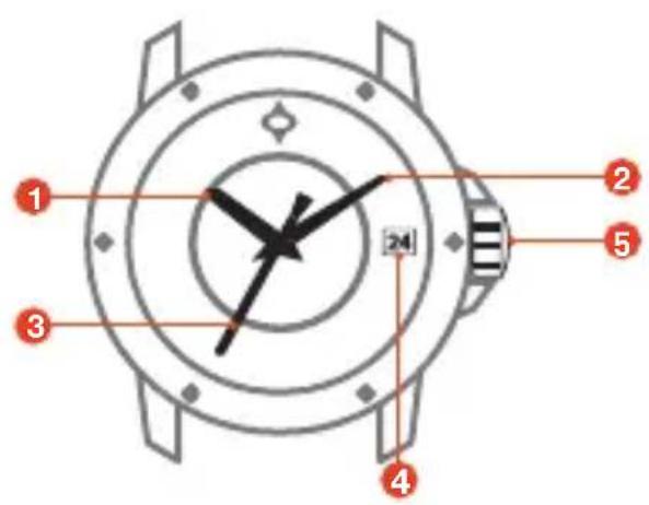 LIV P-51 - PARTS OF YOUR NEW WATCH - 1
