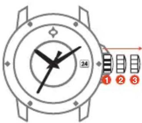 LIV P-51 - SETTING YOUR WATCH - 1