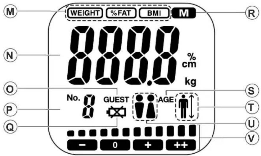 M WEIGHT %FAT BMI M N 8000.0 cm kg O No. GUEST AGE P Q S T U V - 0 + ++