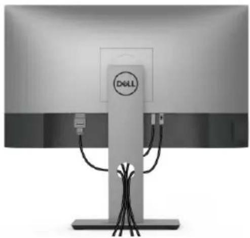 DELL UltraSharp U2520D - Ihre Kabel verlegen - 1