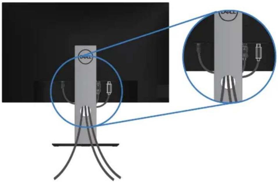 DELL P2421DC - Kabel organisieren - 1
