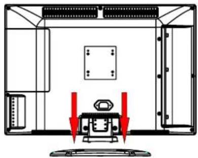 SEG Verona - Fixer le socle - 1