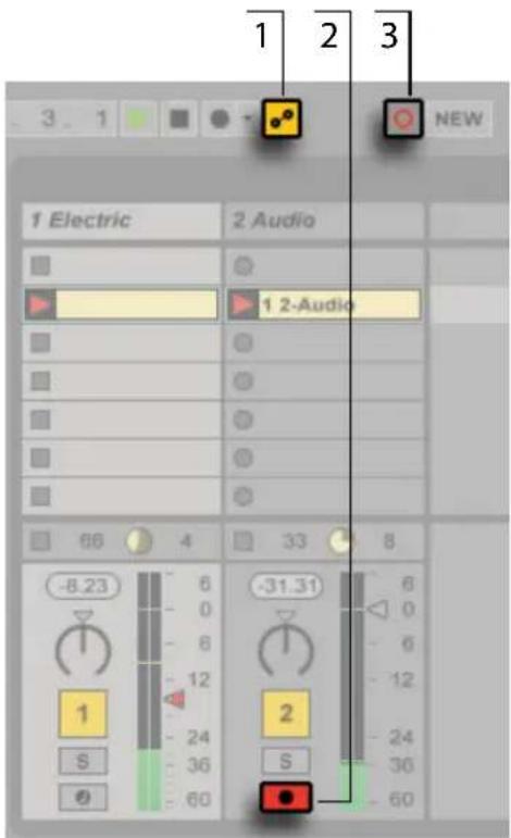 ABLETON Live 9 - Das Aufnehmen von Automation in der Session-Ansicht. - 1