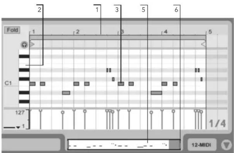 ABLETON Live 9 - Navigation und Transportfunktionen im MIDI- Editor - 2