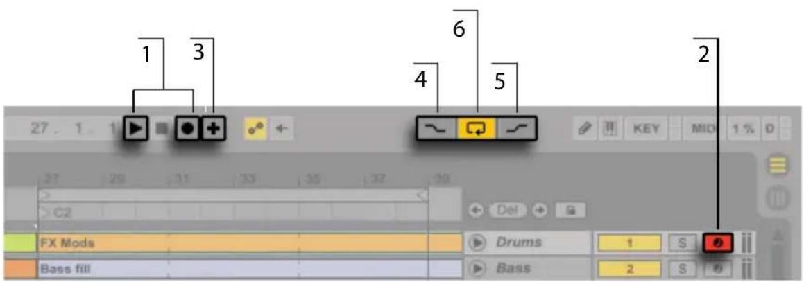 ABLETON Live 9 - Aufnehmen im Arrangement - 1
