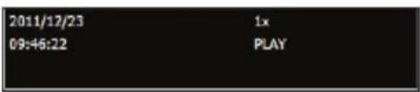 D-LINK ShareCenter DNS-327L - My Surveillance - Wiedergabe - 8