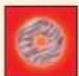 Kosmos Schmuggler - SPIELMATERIAL - 8