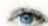 Kosmos Eye Know - ... Quizfrage auswählen und beantworten - 6