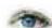 Kosmos Eye Know - ... Quizfrage auswählen und beantworten - 5