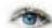 Kosmos Eye Know - ... Quizfrage auswählen und beantworten - 1