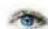 Kosmos Eye Know - ... Quizfrage auswählen und beantworten - 2