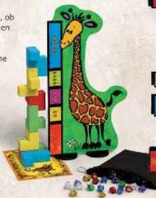 Kosmos Ubongo Junior 3-D - Ende des Spiels - 1