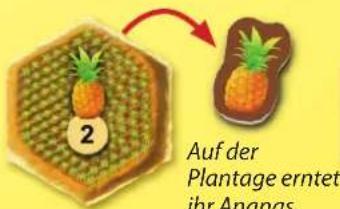 Kosmos Die Siedler von Catan Junior - VOR DEM ERSTEN SPIEL ... - 4