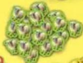 Kosmos Die Siedler von Catan Junior - 3