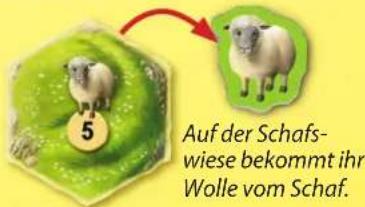 Kosmos Die Siedler von Catan Junior - VOR DEM ERSTEN SPIEL ... - 3