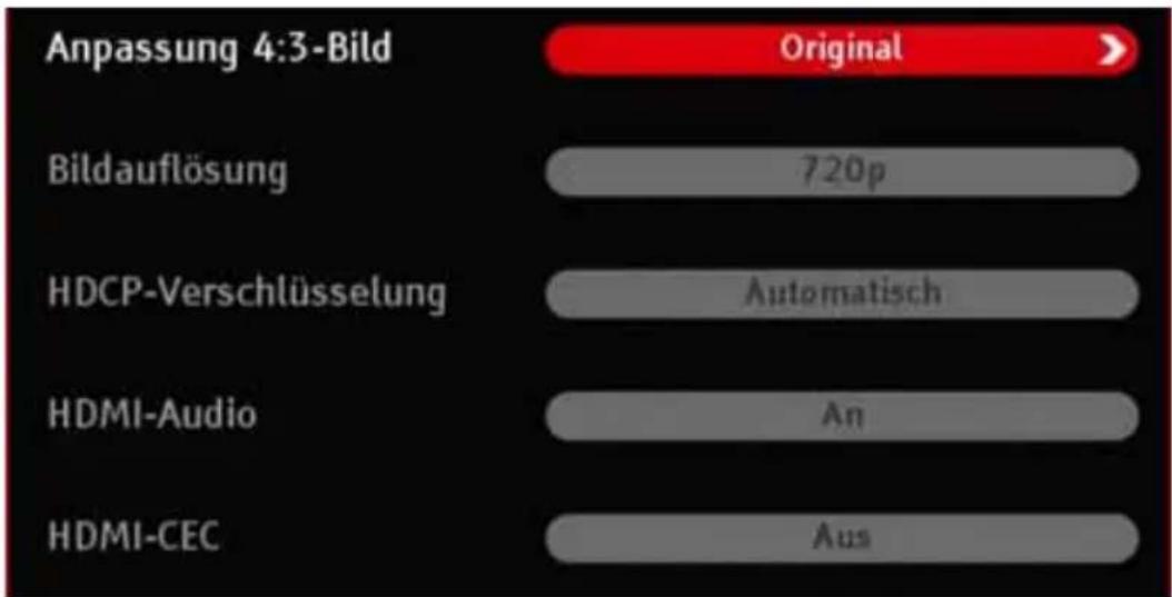 KATHREIN TT-smart C2821 CI+ - HDMI - 1