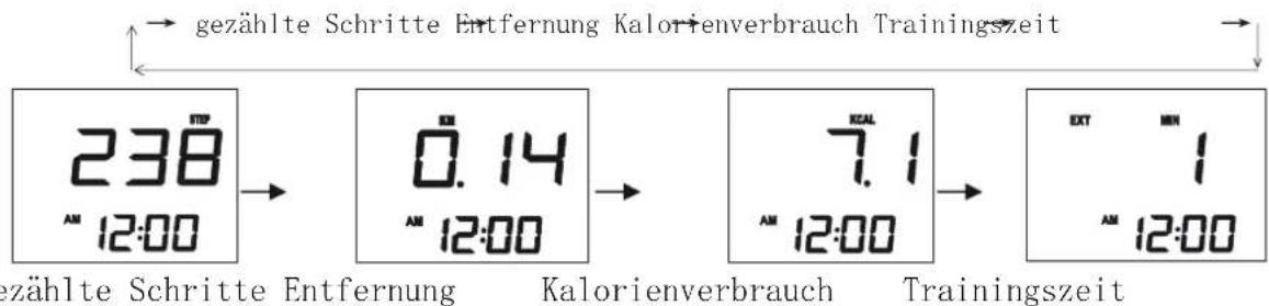 Kübler Speedy - Einschalten - 1