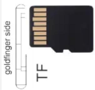 goldfinger side TF