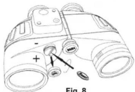 - + Fig. 8