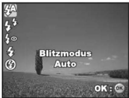 REVUE DC 700 - Benutzen des Blitzes - 1