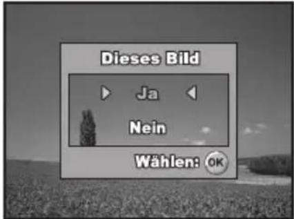 REVUE DC 700 - Löschen von Bildern/Videoclips - 2
