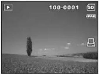REVUE DC 700 - DPOF-Einstellungen - 5