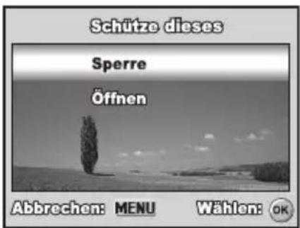 REVUE DC 700 - Wählen Sie im Modus mit dem - 2