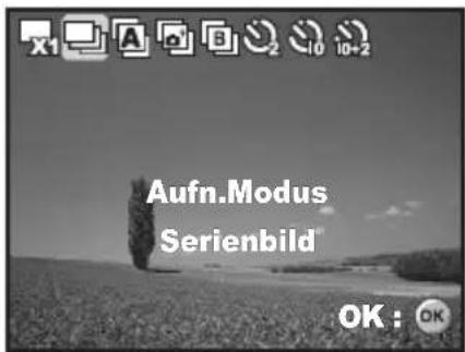 REVUE DC 700 - Aufnahmemethode - 4