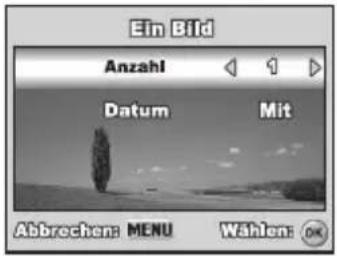 REVUE DC 700 - DPOF-Einstellungen - 3