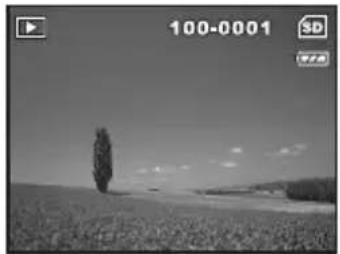 REVUE DC 700 - DPOF-Einstellungen - 1