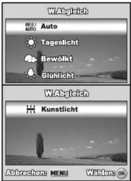 REVUE DC 700 - Einstellen des Weißabgleich - 4