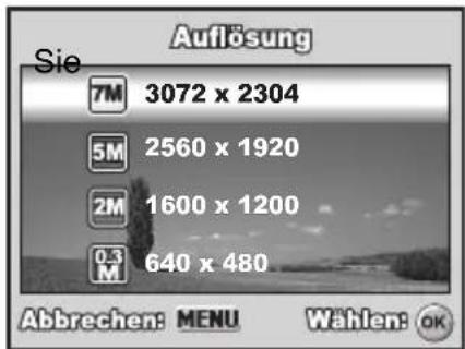 REVUE DC 700 - Einstellen der Bildauflösung und der Bildqualität - 1