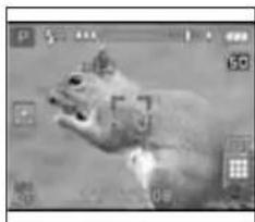 Traveler DC X4 - Die Zoom-Anzeige im Monitor - 3