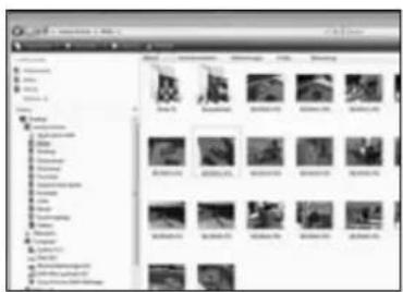 Traveler DC X4 - Fotos unter Windows VISTA ausdrucken - 1