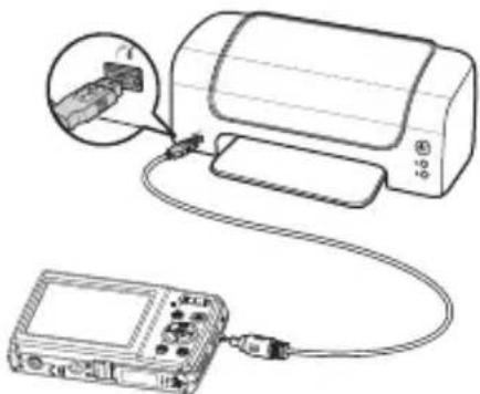 MEDION LIFE E44050 (MD 86930) - Aufnahmen auf einem Fotodrucker ausdrucken - 1