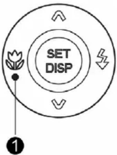 MEDION LIFE E42005 (MD 85956) - Makro Taste – Nahaufnahmen und Fokussierung einstellen - 1