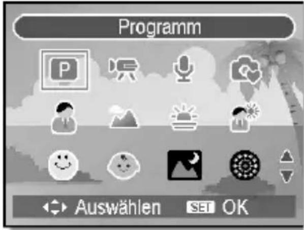 MEDION LIFE E42005 (MD 85956) - Aufnahmearten - 1