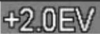 MEDION LIFE E42005 (MD 85956) - Displayanzeigen für die Aufnahme - 18