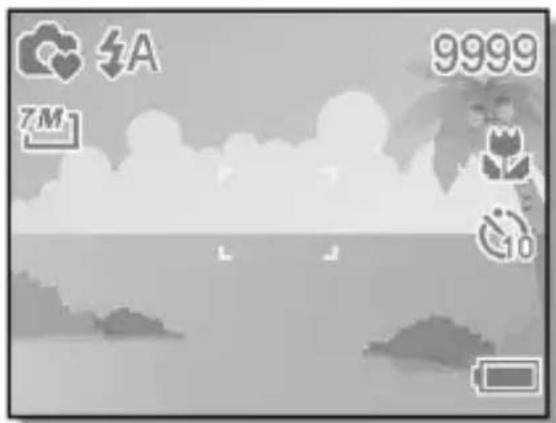 MEDION MD 85700 - Aufnahmearten - 17