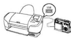 MEDION MD 85146 - PictBridge - 1