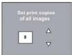 Set print copies of all images